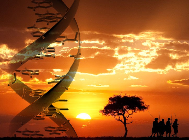 Konstelacje DNA